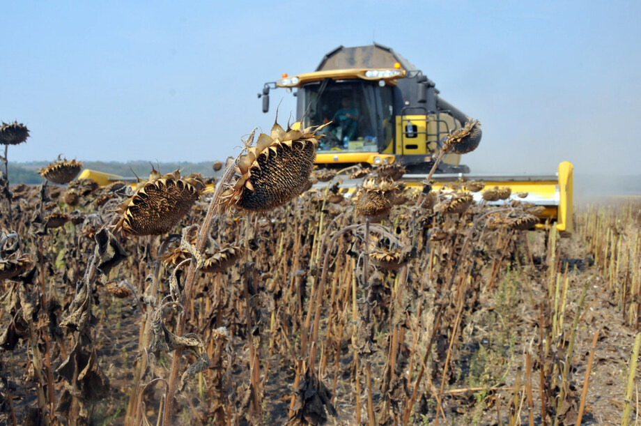 Клеарфилд 01