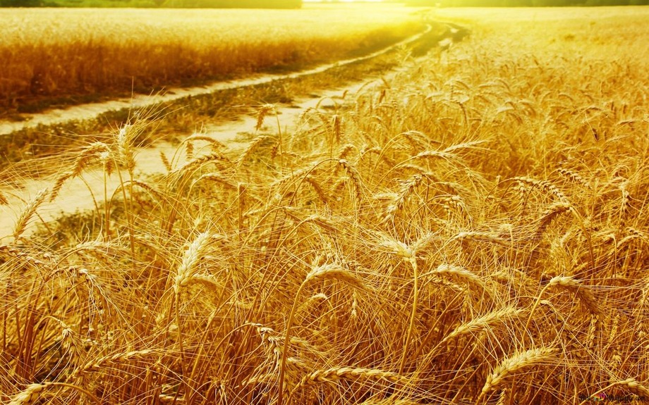 Клеарфілд 02